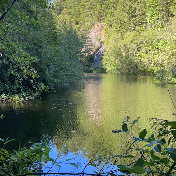 Meet your Posher, Abigail - Picture 1 of 1